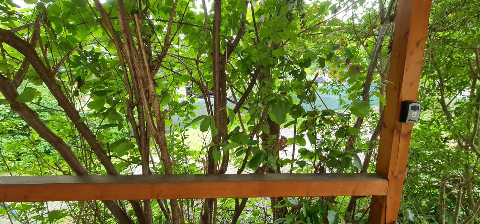 Apartmany Orlová المظهر الخارجي الصورة